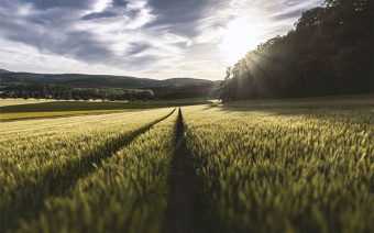 agricoltura-di-precisione-droni-guidonia-roma